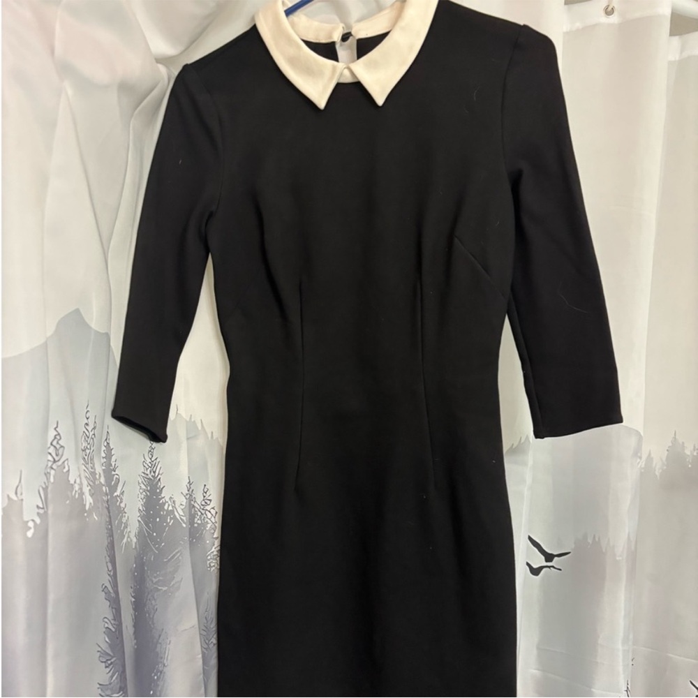 Cooperative Black Dress with Peter Pan Cream Collar - XS/S